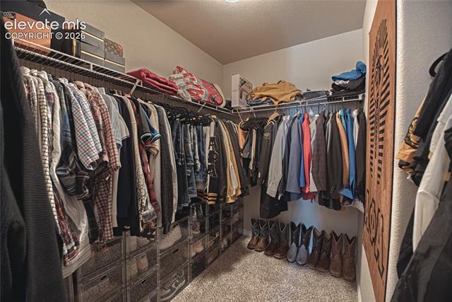 MLS Image for 6493  Vedder  ,Colorado Springs, Colorado