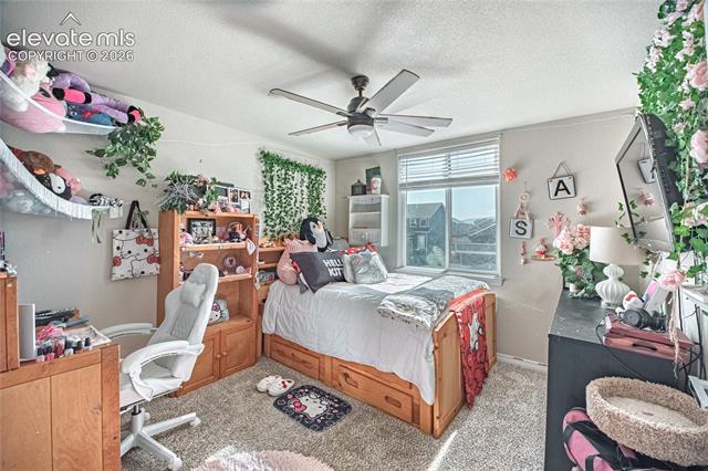 MLS Image for 6493  Vedder  ,Colorado Springs, Colorado