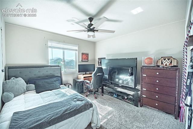 MLS Image for 6493  Vedder  ,Colorado Springs, Colorado