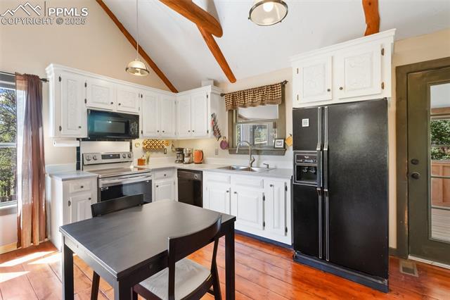 MLS Image for 34  Piute  ,Florissant, Colorado