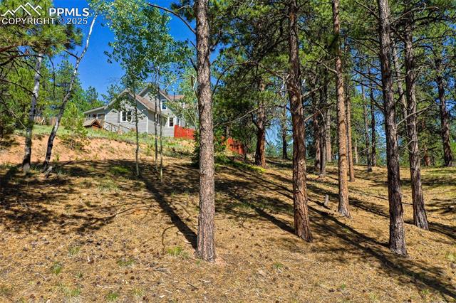 MLS Image for 34  Piute  ,Florissant, Colorado