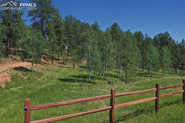 MLS Image for 34  Piute  ,Florissant, Colorado
