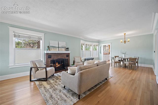 MLS Image for 533 N Wahsatch  ,Colorado Springs, Colorado