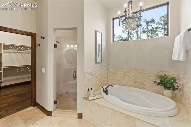 MLS Image for 16104  Pole Pine  ,Colorado Springs, Colorado