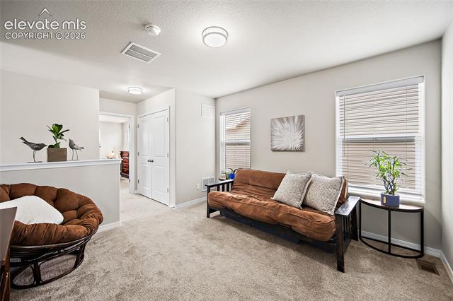 MLS Image for 8145  Talc  ,Colorado Springs, Colorado