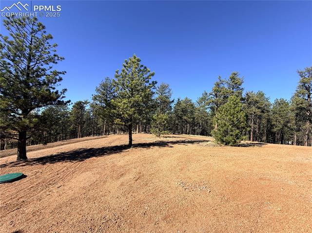 MLS Image for 2627  Pikes Peak  ,Florissant, Colorado