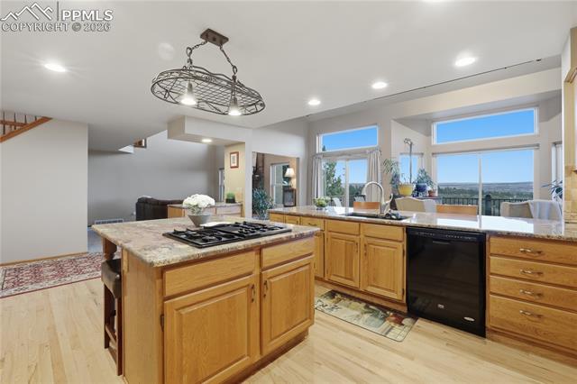 MLS Image for 2502  Kinderhook  ,Colorado Springs, Colorado