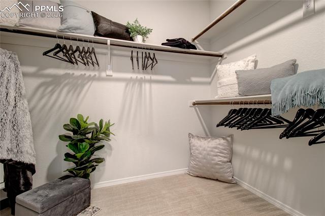 MLS Image for 5786  Zounds  ,Colorado Springs, Colorado