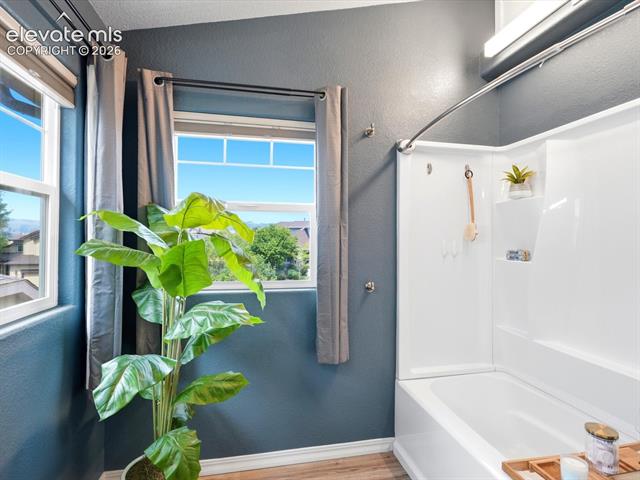 MLS Image for 9959  Rose Leaf  ,Colorado Springs, Colorado