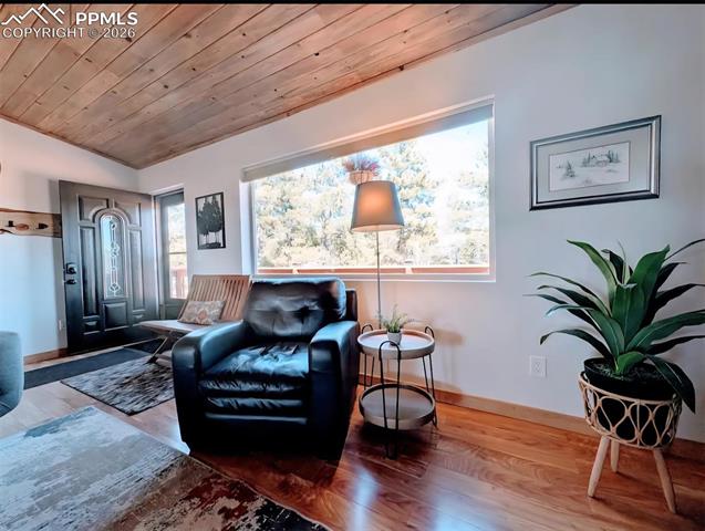 MLS Image for 23  Nimbus  ,Florissant, Colorado