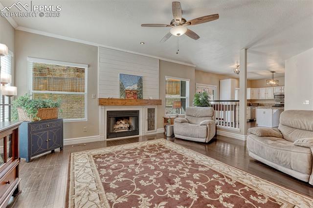 MLS Image for 2530  Rick  ,Colorado Springs, Colorado