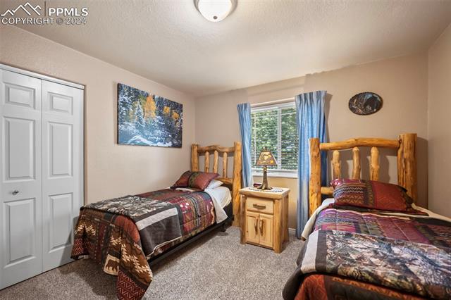 MLS Image for 16  Spruce  ,Woodland Park, Colorado