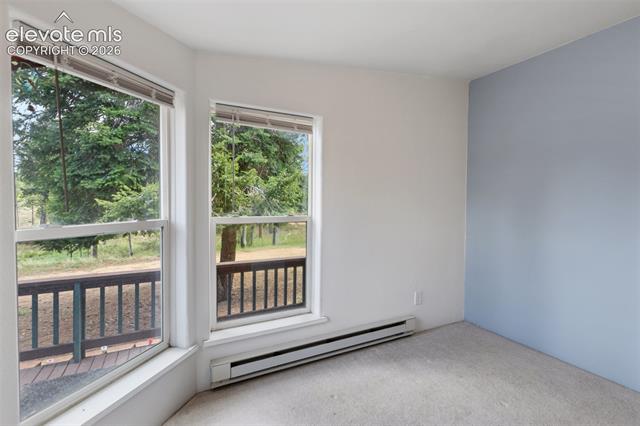 MLS Image for 350  Brooks  ,Woodland Park, Colorado