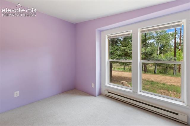 MLS Image for 350  Brooks  ,Woodland Park, Colorado