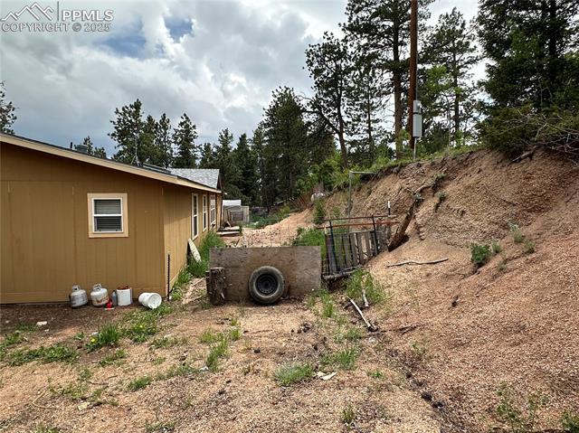 MLS Image for 132  Daniel  ,Divide, Colorado