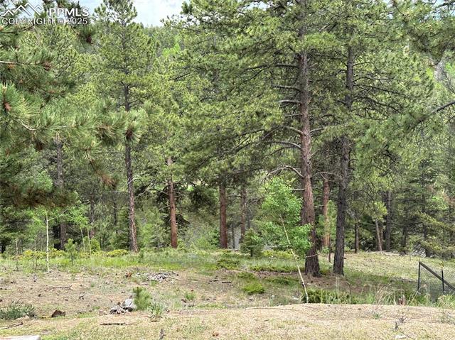 MLS Image for 132  Daniel  ,Divide, Colorado