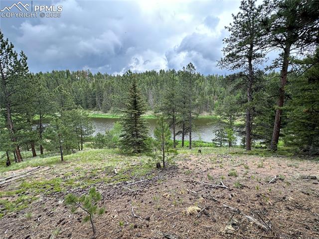 MLS Image for 132  Daniel  ,Divide, Colorado