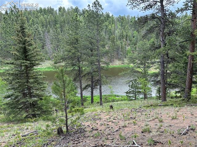 MLS Image for 132  Daniel  ,Divide, Colorado