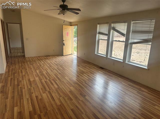 MLS Image for 132  Daniel  ,Divide, Colorado