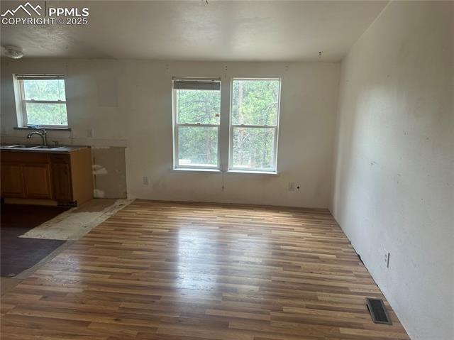 MLS Image for 132  Daniel  ,Divide, Colorado