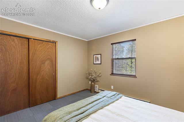MLS Image for 1303 W Midland  ,Woodland Park, Colorado