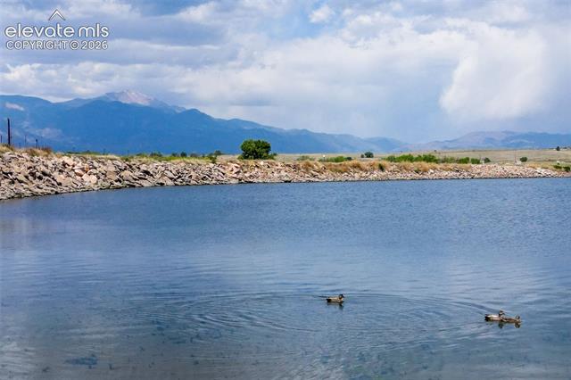 MLS Image for 4967  Wolf Moon  ,Colorado Springs, Colorado