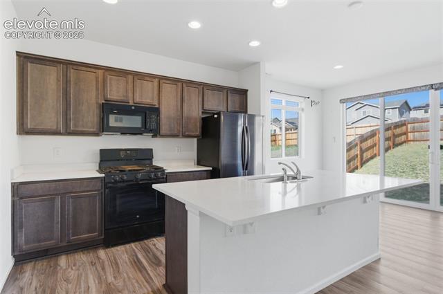 MLS Image for 4967  Wolf Moon  ,Colorado Springs, Colorado