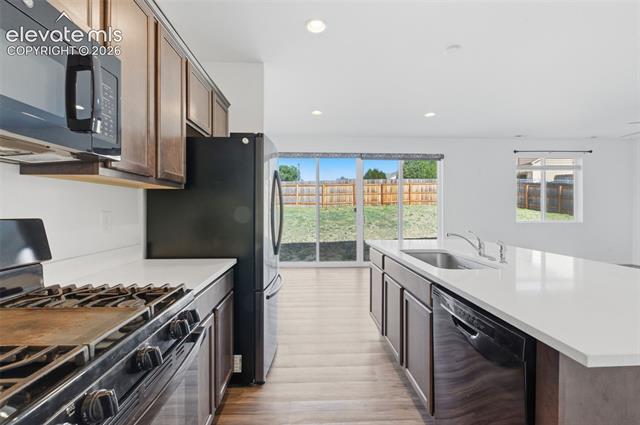 MLS Image for 4967  Wolf Moon  ,Colorado Springs, Colorado