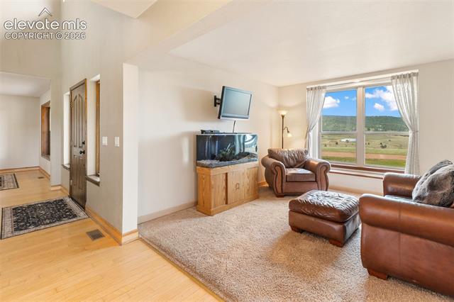 MLS Image for 23311 S Highway 67  ,Divide, Colorado