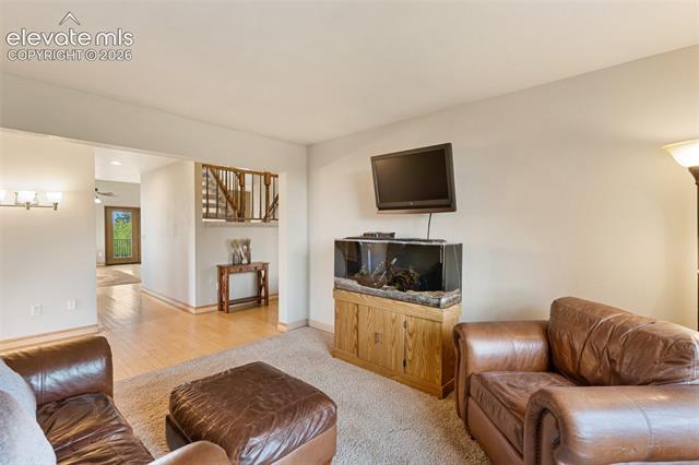 MLS Image for 23311 S Highway 67  ,Divide, Colorado