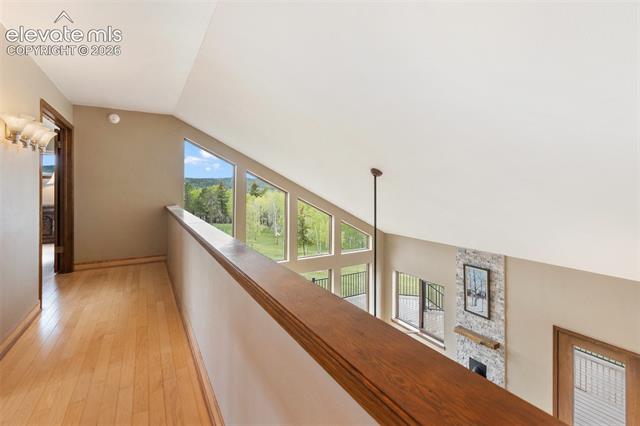 MLS Image for 23311 S Highway 67  ,Divide, Colorado