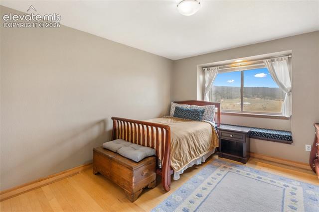 MLS Image for 23311 S Highway 67  ,Divide, Colorado
