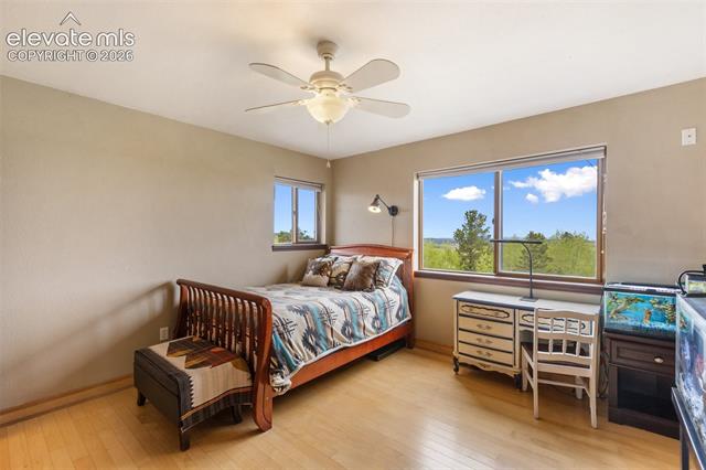 MLS Image for 23311 S Highway 67  ,Divide, Colorado