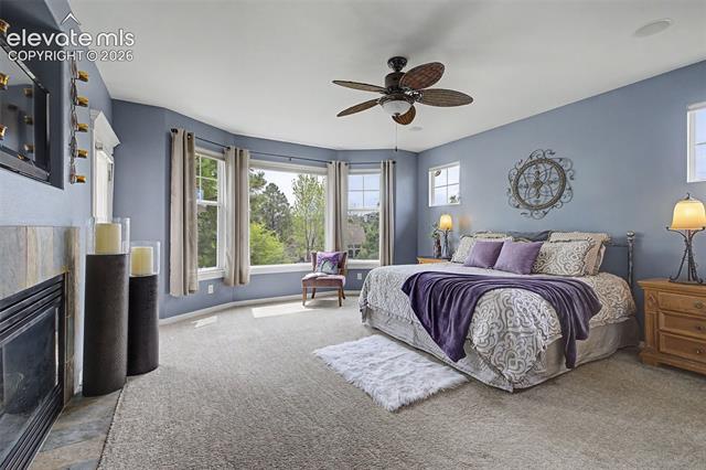 MLS Image for 2455  Willow Glen  ,Colorado Springs, Colorado