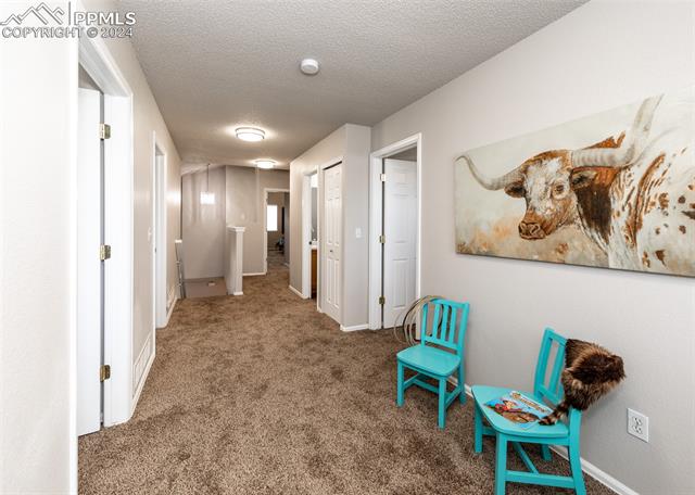 MLS Image for 4624  Saddle Ridge  ,Colorado Springs, Colorado