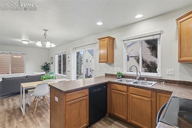 MLS Image for 2465  Sierra Springs  ,Colorado Springs, Colorado