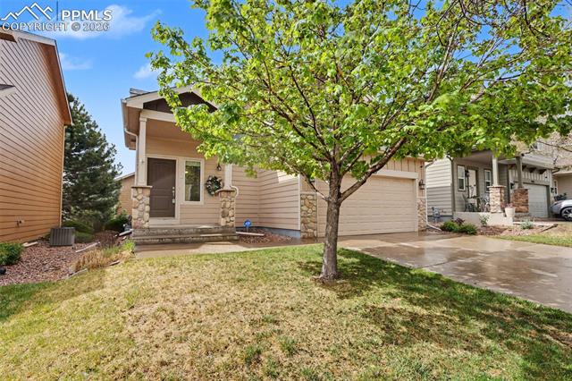 MLS Image for 2465  Sierra Springs  ,Colorado Springs, Colorado