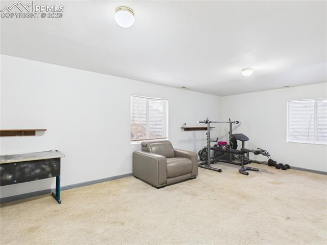 MLS Image for 5169  Fennel  ,Colorado Springs, Colorado