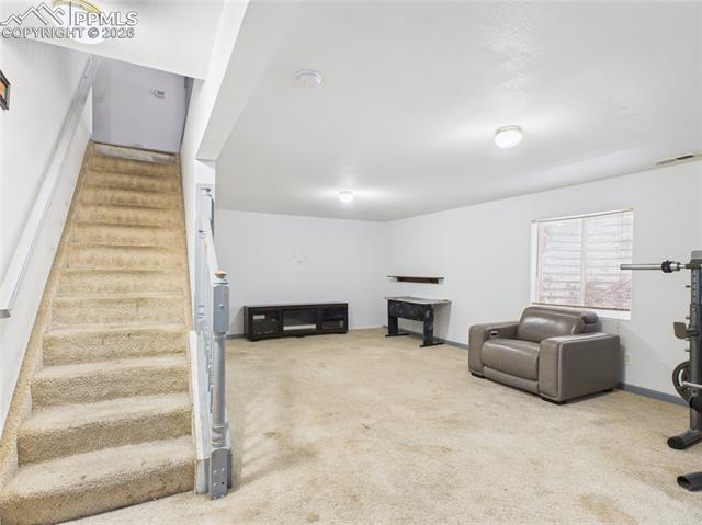 MLS Image for 5169  Fennel  ,Colorado Springs, Colorado