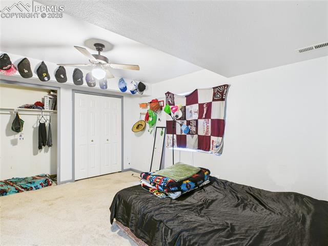 MLS Image for 5169  Fennel  ,Colorado Springs, Colorado