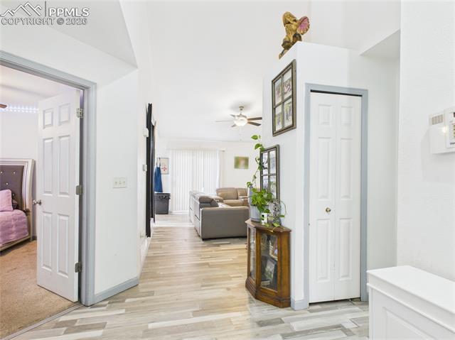 MLS Image for 5169  Fennel  ,Colorado Springs, Colorado