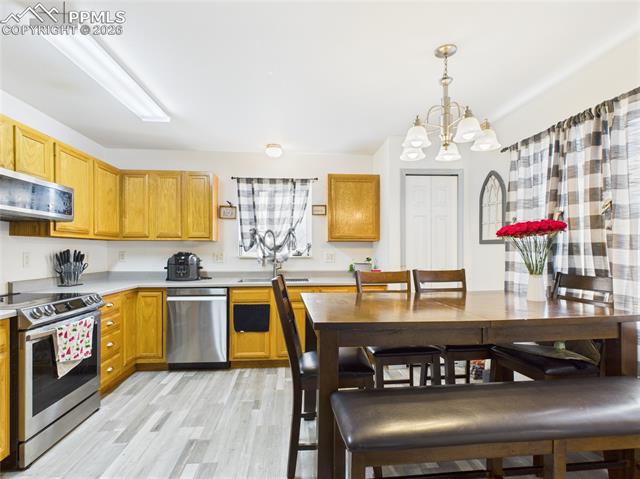MLS Image for 5169  Fennel  ,Colorado Springs, Colorado