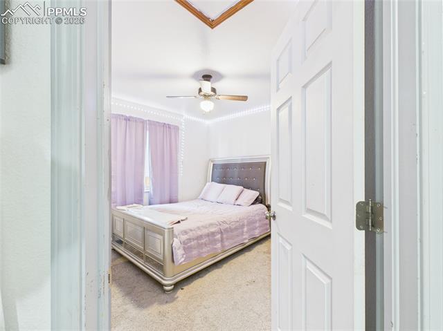 MLS Image for 5169  Fennel  ,Colorado Springs, Colorado
