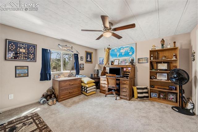 MLS Image for 1299  Pikes Peak  ,Florissant, Colorado