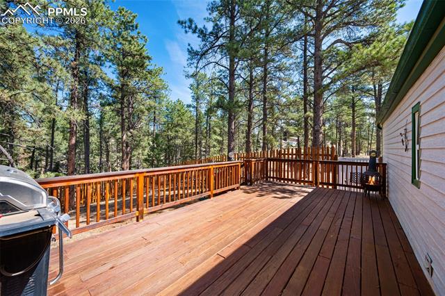 MLS Image for 1299  Pikes Peak  ,Florissant, Colorado
