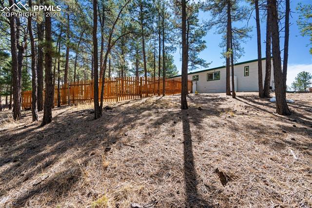 MLS Image for 1299  Pikes Peak  ,Florissant, Colorado