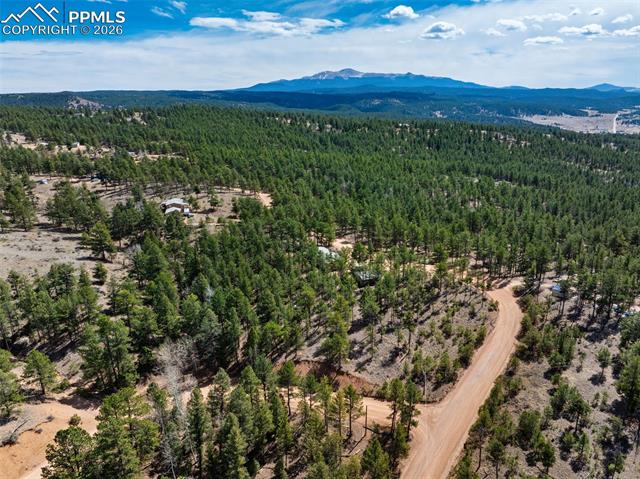 MLS Image for 1299  Pikes Peak  ,Florissant, Colorado