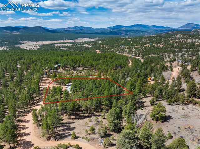 MLS Image for 1299  Pikes Peak  ,Florissant, Colorado