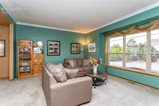 MLS Image for 15235  Jessie  ,Colorado Springs, Colorado