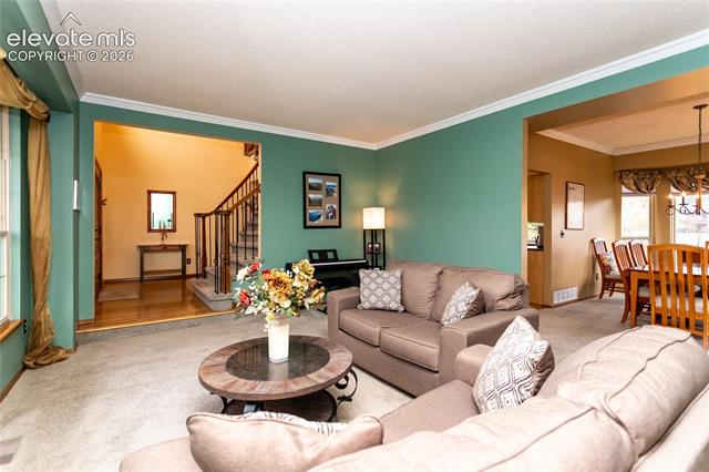 MLS Image for 15235  Jessie  ,Colorado Springs, Colorado